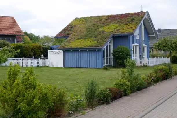 Re-roofing with eco-friendly materials using green roofs
