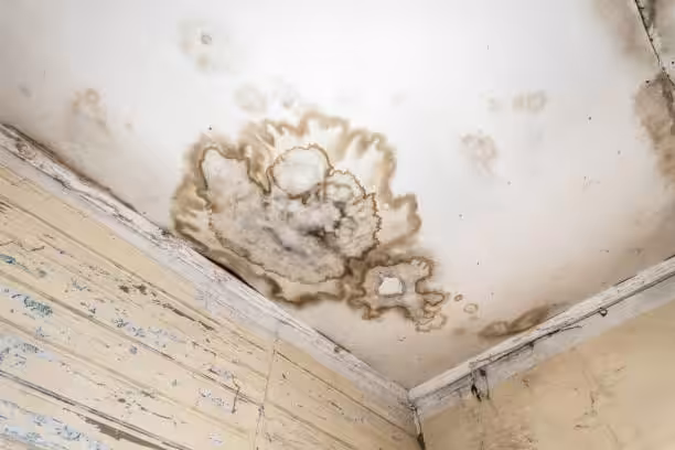 Mold development is a common type of winter roof damage.
