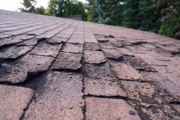 Identify shingle curling Florida heat.
