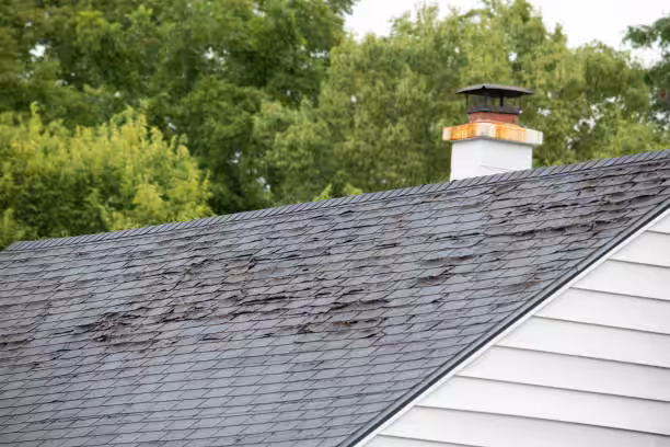 Roof aging signs caused by Florida's climate.