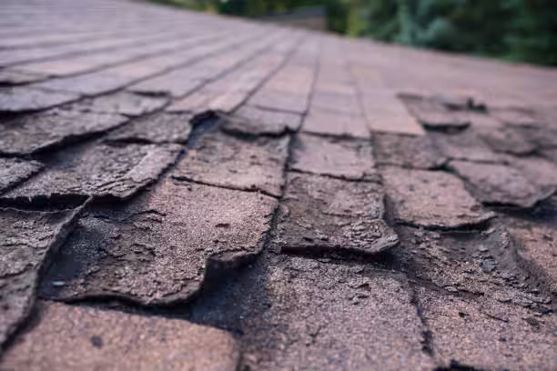 Learn what maintenance help roof aging signs.