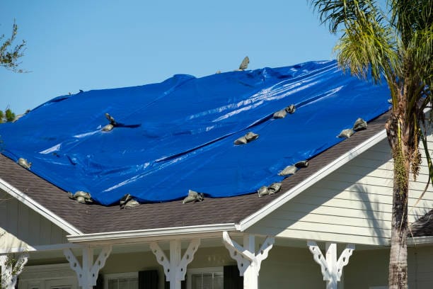 Roof leak winter frequency in Florida.