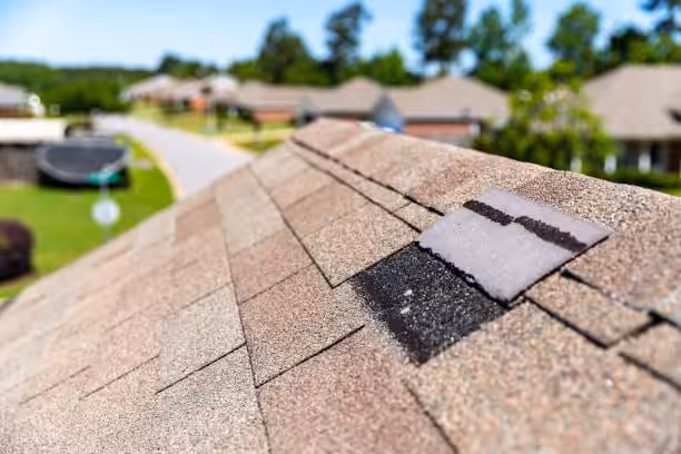 Seasonal roof damage repair professional inspection.