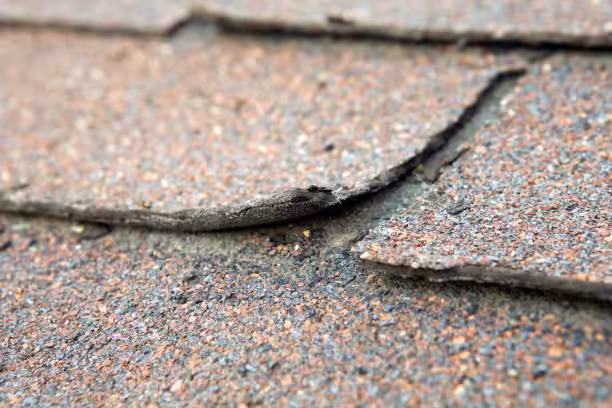 Shingle curling Florida heat repair cost.