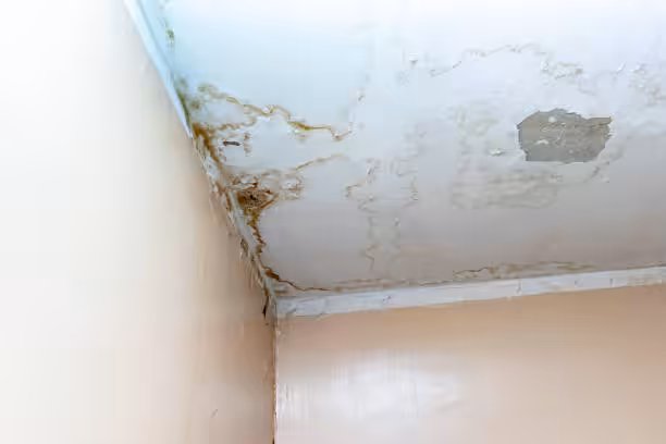 Tile roof leak detection signs.